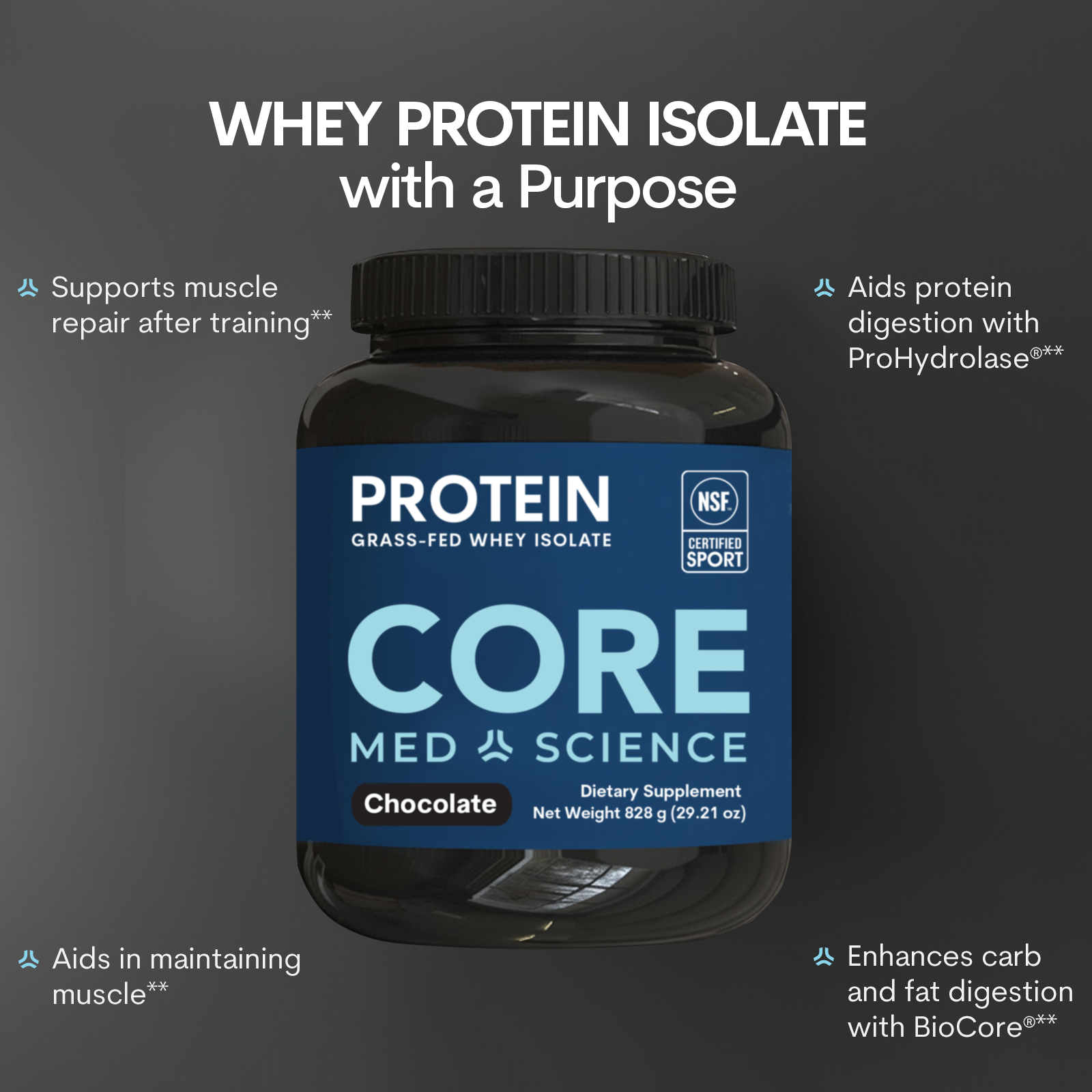 Whey Protein - Chocolate