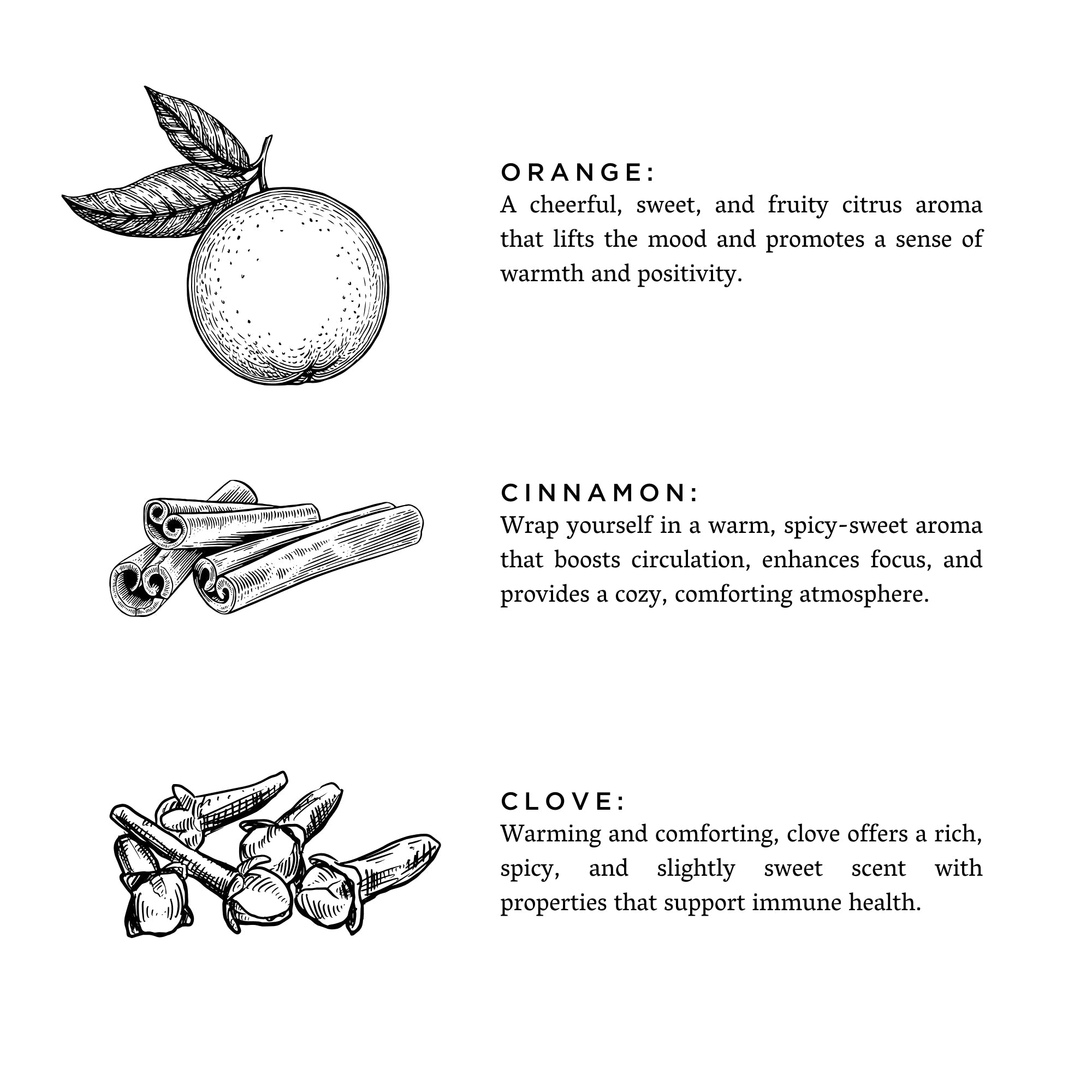 Orange + Clove - Signature Soy Candle