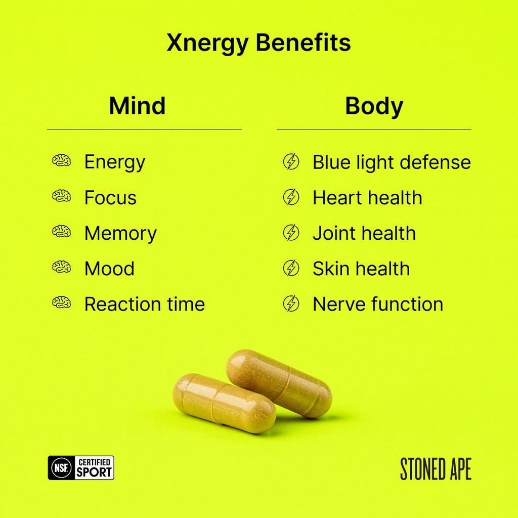 Calm Energy Bundle