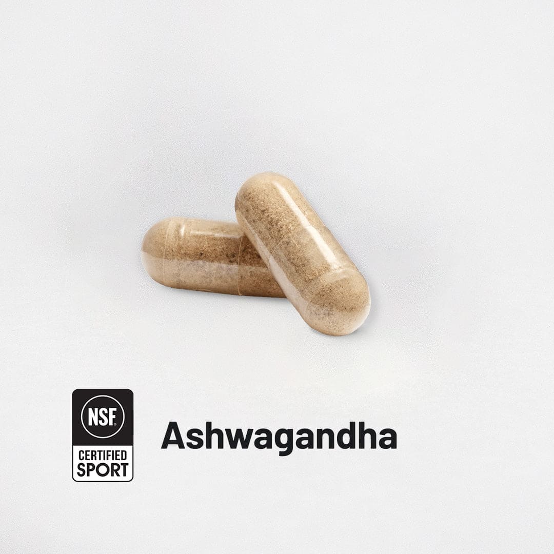 Ashwagandha (KSM-66) Bottle 60 CT Capsules